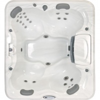 Спа бассейн Sundance Spas Camden